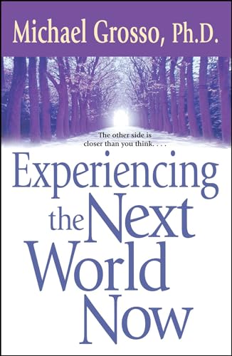 Experiencing the Next World Now von Gallery Books